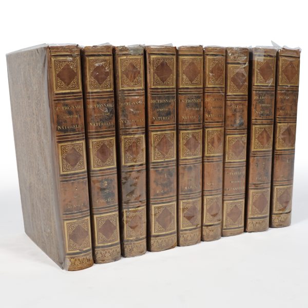 Guerin F.-E.. Dictionnaire pittoresque d'histoire naturelle.. Paris, Au Bureau de Souscription, 1833