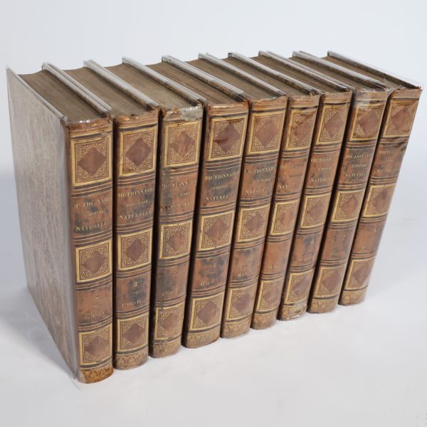 Guerin F.-E.. Dictionnaire pittoresque d'histoire naturelle.. Paris, Au Bureau de Souscription, 1833