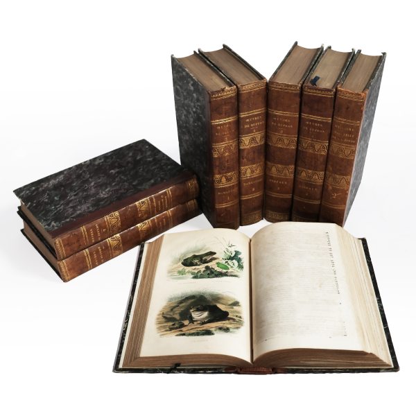 Buffon. &OElig;uvres compl&egrave;tes.. Cuvier. Histoire Naturelle de Lacep&egrave;de. Paris, Furne. 1839-1841