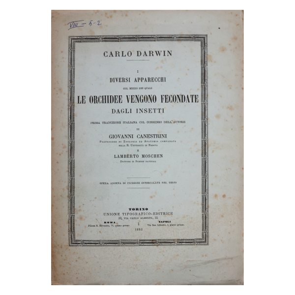 Darwin. Diversi apparecchi col mezzo dei quali le orchidee vengono fecondate dagli insetti.. 1883