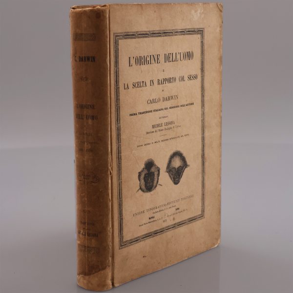 Darwin Charles. L'origine dell'uomo e la scelta in rapporto col sesso.. Michele Lessona. 1871