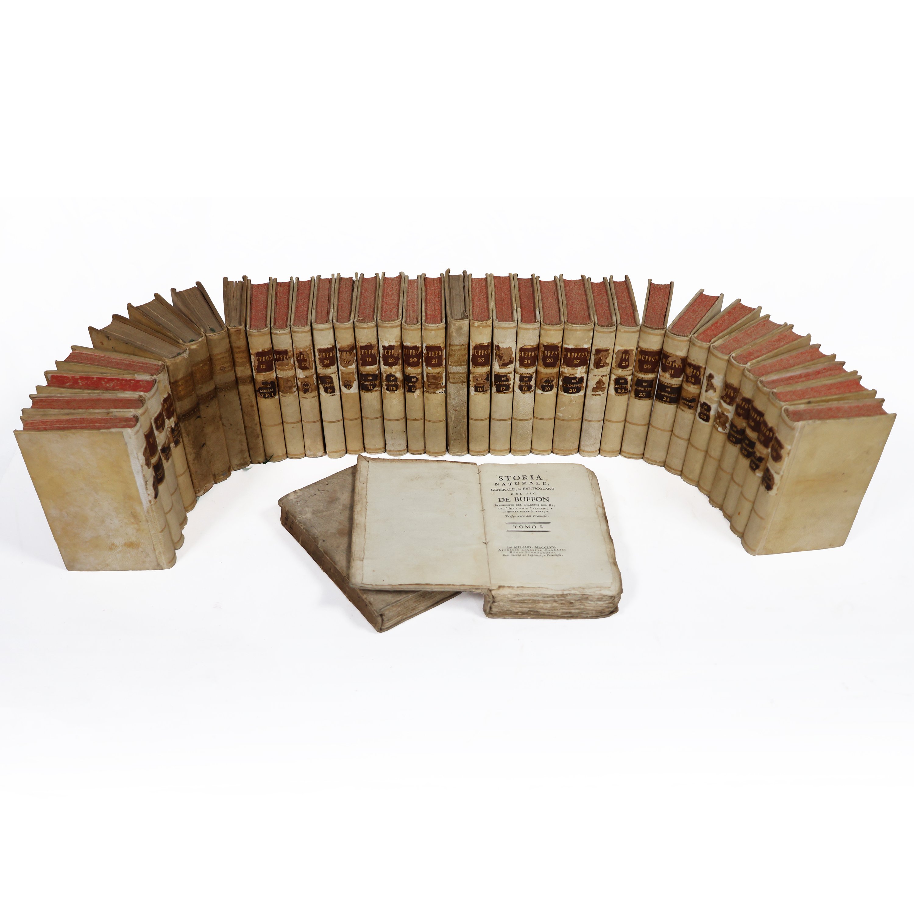 Buffon (George Louis Le Clerc Comte de). Storia naturale, generale e particolare.. Milano, Appresso Giuseppe Galeazzi Regio Stampatore. 1770 - 1785 - Buffon (George Louis Le Clerc Comte de) - 1770