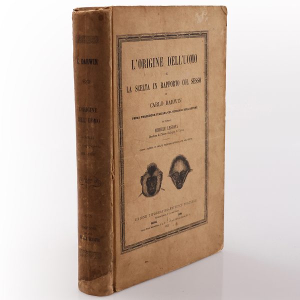 Darwin Charles. L'origine dell'uomo e la scelta in rapporto col sesso.. Michele Lessona. 1871